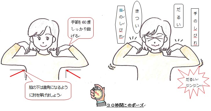 シーフテスト